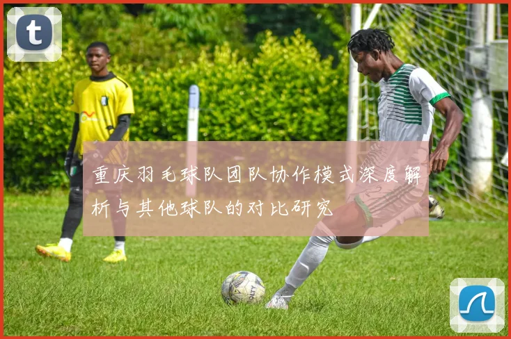 重庆羽毛球队团队协作模式深度解析与其他球队的对比研究