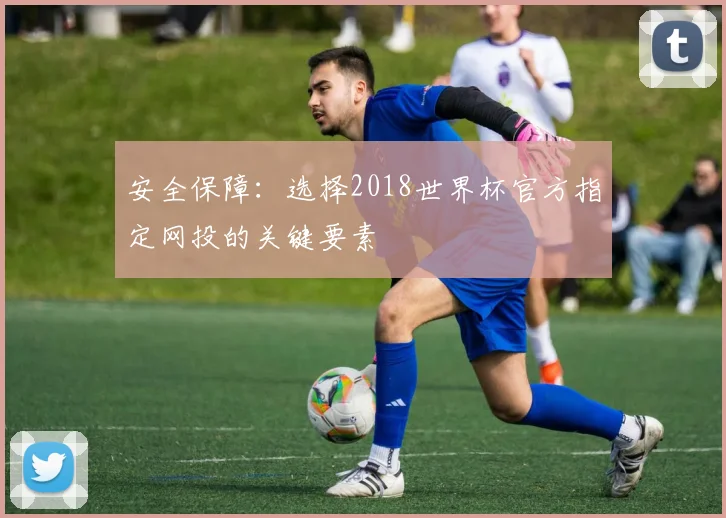 安全保障：选择2018世界杯官方指定网投的关键要素